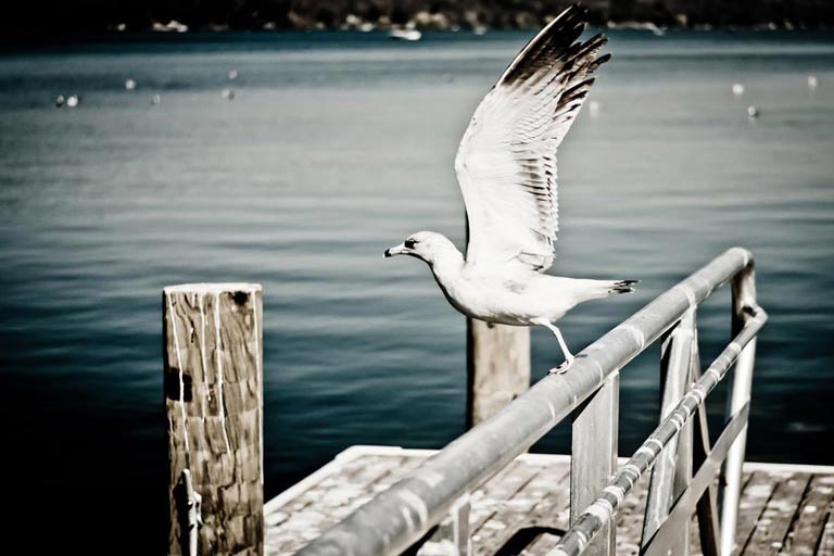 blog-image
